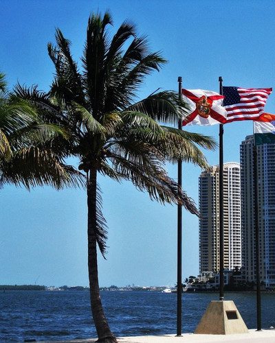 5 Things to Accomplish After Relocating or Moving a Business to Florida