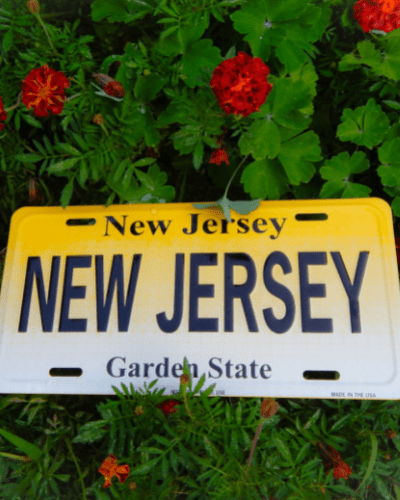 Domesticating or Converting a New Jersey LLC to a Florida LLC: 9 Benefits