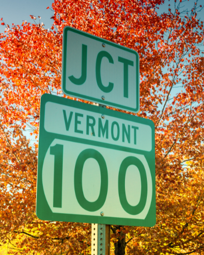 Can an Attorney Domesticate or Convert a Vermont LLC to a Florida LLC?